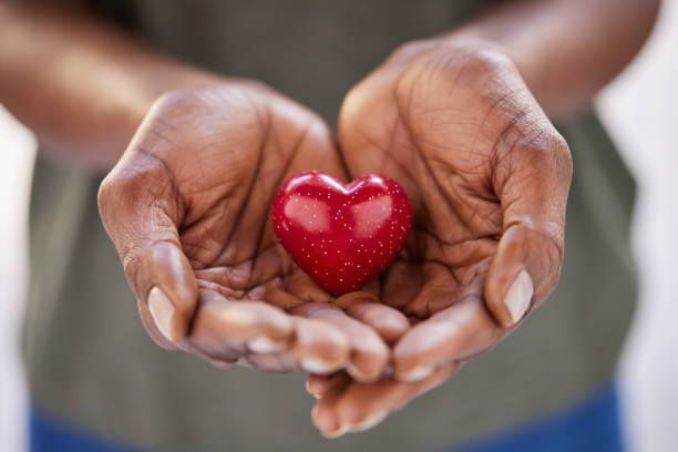 nonprofit organization Nigeria